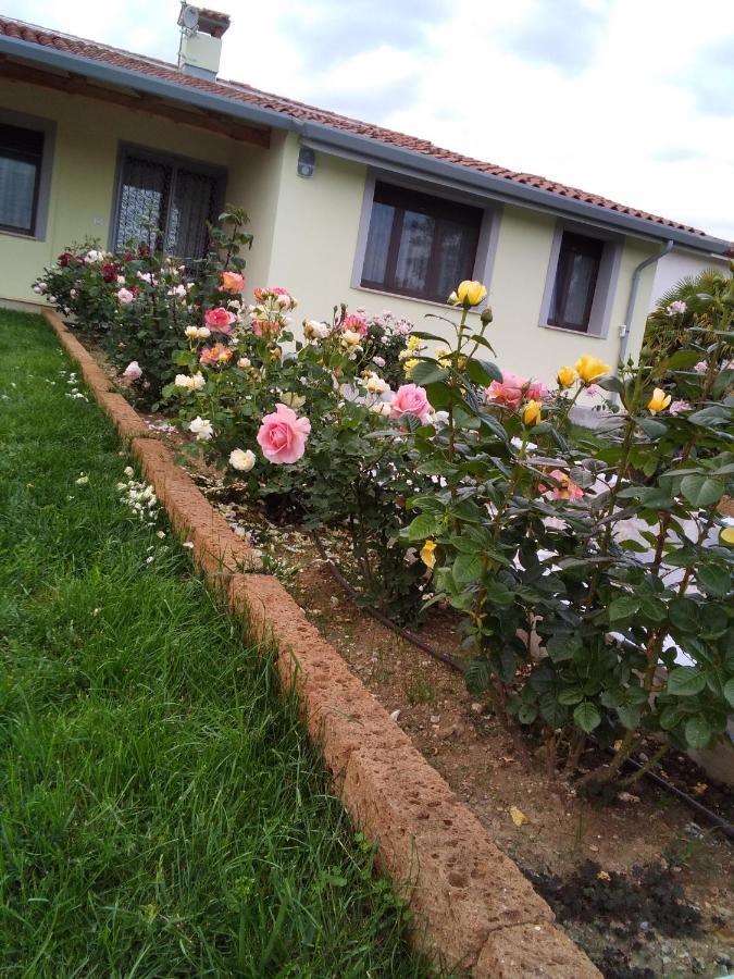 B&B Fili D'Erba Farra d'lsonzo Dış mekan fotoğraf